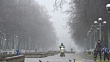 МЧС предупредило о тумане в Лобне до утра 7 ноября
