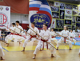 В Лобне состоялся Чемпионат России по каратэ