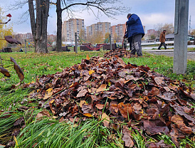 Министерство благоустройства Московской области информирует