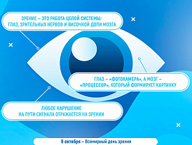 Зрение — одно из самых важных чувств