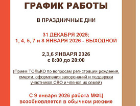 МФЦ городского округа Лобня информирует о графике работы