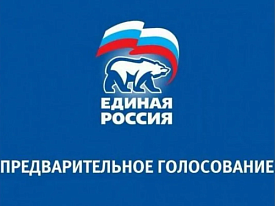 Предварительное голосование партии «Единая Россия» в Подмосковье пройдет с 25 по 31 мая  
