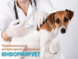 Территориальное ветеринарное управление информирует