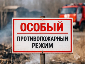 Жителей Лобни предупредили о введении особого противопожарного режима Жителей Лобни предупредили о введении особого противопожарного режима