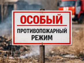 Особый противопожарный режим в Московской области: меры предосторожности и ответственность Особый противопожарный режим в Московской области: меры предосторожности и ответственность