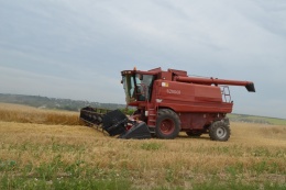 Урожай зерна в МО в этом году превысит четыреста тысяч тонн