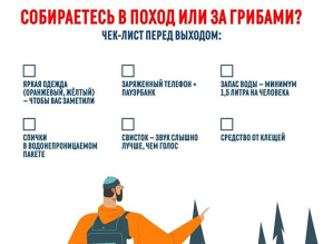 Собираетесь в поход или за грибами? Собираетесь в поход или за грибами?