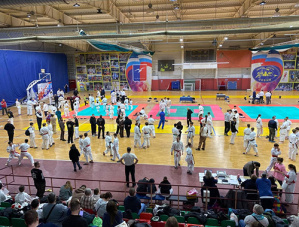 В Лобне прошли соревнования на Кубок Московской области по всестилевому карате В Лобне прошли соревнования на Кубок Московской области по всестилевому карате