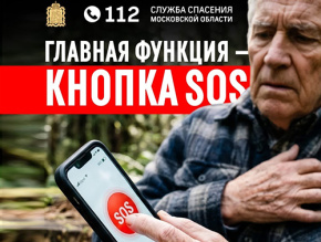 Кнопка, которая спасает жизни: приложение «112 МО» Кнопка, которая спасает жизни: приложение «112 МО»