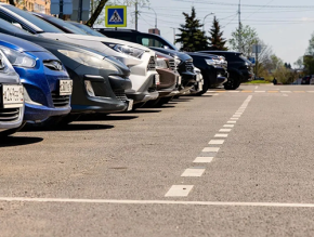 В Лобне обновляют дорожную разметку: в порядок приведут 90 пешеходных переходов В Лобне обновляют дорожную разметку: в порядок приведут 90 пешеходных переходов