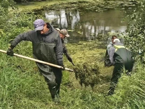 В Лобне стартовала очистка прудов в микрорайоне Луговая В Лобне стартовала очистка прудов в микрорайоне Луговая