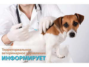 Территориальное ветеринарное управление информирует Территориальное ветеринарное управление информирует