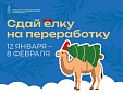 Жители Лобни смогут подарить новогодним елкам «вторую жизнь» Жители Лобни смогут подарить новогодним елкам «вторую жизнь»